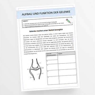 Biologie: Der Mensch - Aufbau und Funktion der Gelenke für die 5. und 6. Klasse - StudyHelp Lehrmaterial 