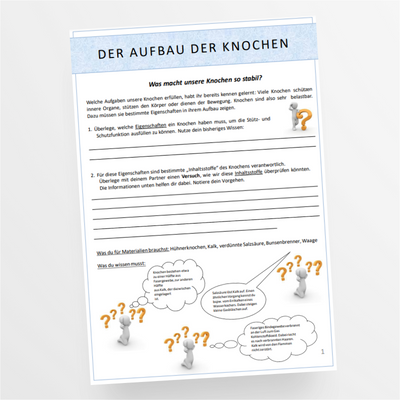 Biologie: Der Mensch - Eigenschaften und Aufbau der Knochen - Experiment für die 5. und 6. Klasse - StudyHelp Lehrmaterial 