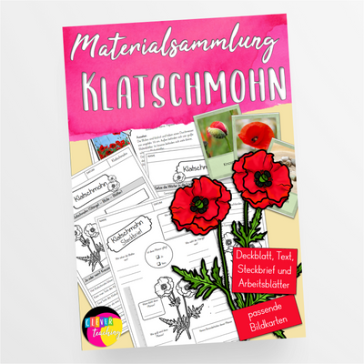 Der Klatschmohn Unterrichtsmaterial Sommerblumen - StudyHelp Lehrmaterial 