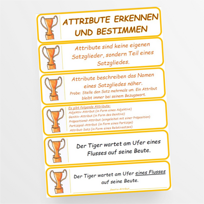 Deutsch: Übungskarten zu Attribute für die 6. und 7. Klasse - StudyHelp Lehrmaterial 