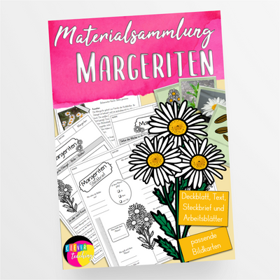 Die Margerite Unterrichtsmaterial Sommerblumen - StudyHelp Lehrmaterial 