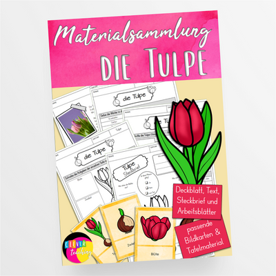 Die Tulpe Unterrichtsmaterial Frühblüher - StudyHelp Lehrmaterial 
