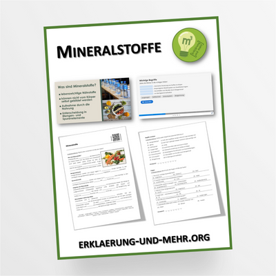 Materialpaket Biologie Hauswirtschaft Thema "Mineralstoffe" für die 6.-9. Klasse - StudyHelp Lehrmaterial 