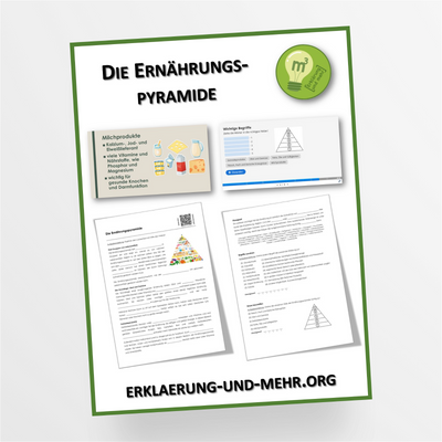 Materialpaket Hauswirtschaft Thema "Die Ernährungspyramide" für die 8.-9. Klasse - StudyHelp Lehrmaterial 