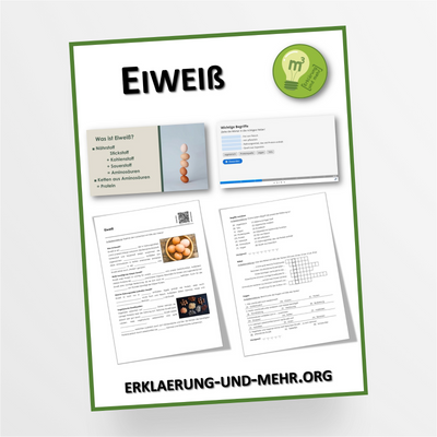 Materialpaket Hauswirtschaft Thema "Eiweiß" für die 7.-8. Klasse - StudyHelp Lehrmaterial 
